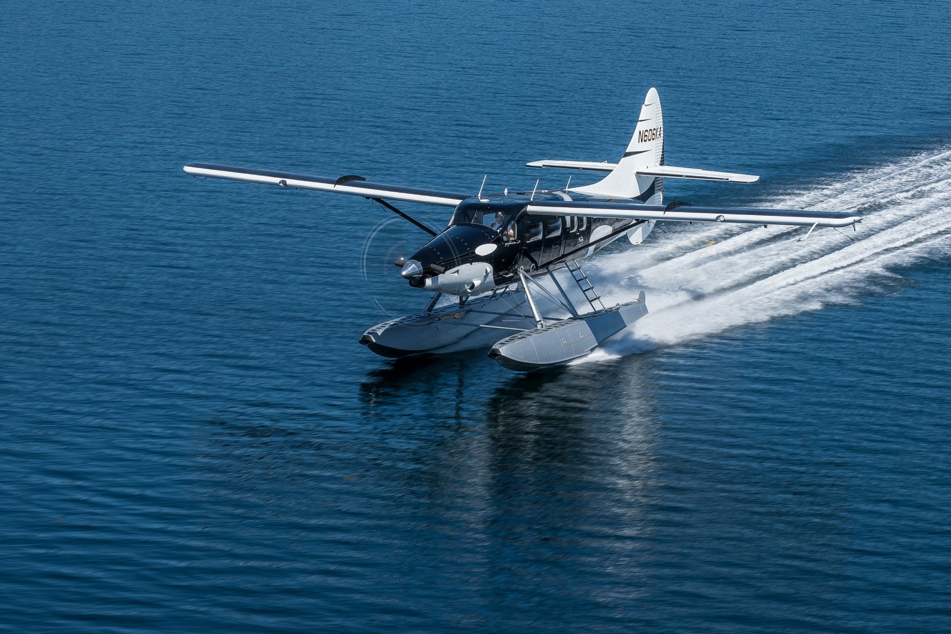 A seaplane painted like an orca on the water.